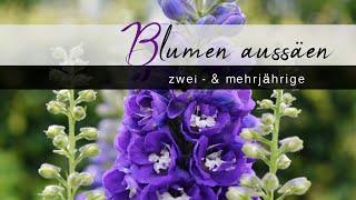 Zwei - & mehrjährige Blumen im Sommer aussäen! - Tipps zur Aussaat und Anzucht -