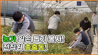충주중원문화재단 농가 일손 돕기 봉사활동 스케치영상