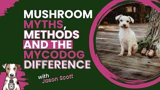 Mushroom Myths, Methods, and the MycoDog Difference with MycoAlchemist Jason Scott