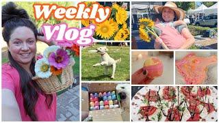 The Last Summer Vlog! Ludo's Show, BBQ, Farmer's Market & Chalk Fun! 2024