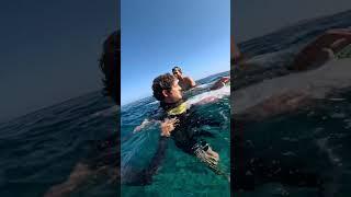 Surfer Hits Head On Reef