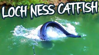 LOCH NESS MONSTER CATFISH 