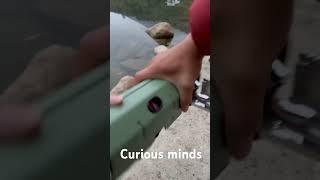 Tiny Stove Big Impact!!! #Curiousminds