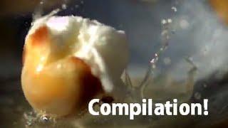 Slow Motion Compilation of The Month | Slow Mo Lab