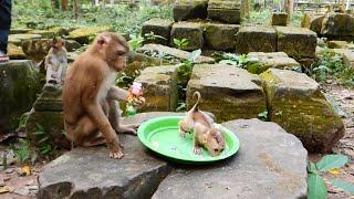 A Small Baby So Hungry Milk, She Giving Milk For Her?