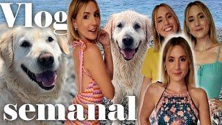  Beach with a river, Japanese ceramics, and lots of excitement | Weekly vlog 