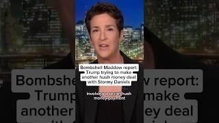 Bombshell Maddow report: Trump trying again to keep Stormy Daniels quiet