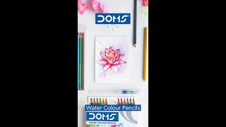 DOMS | WATER COLOUR PENCILS | Fill colors in your imaginations and make them vibrant