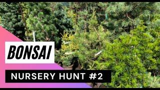 Bonsai Hunt at Gethsemane Garden Center