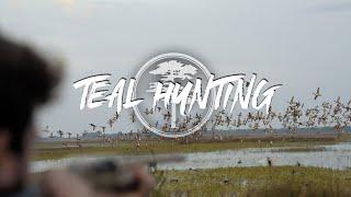 Teal hunting- Missouri Teal Hunting Compilation