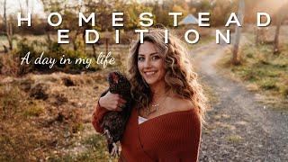 A Day In My Life As a Homesteader, Homeschooler, Entrepreneur