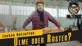 Lockes Holzarten: Ulme oder Rüster? / Holzkunst Scholz offiziell