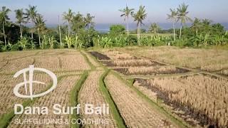 Dana Surf Bali - Surfguiding & Coaching