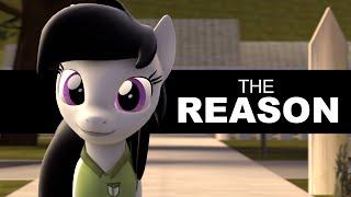 The Reason [SFM]