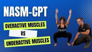 Mastering Overactive vs. Underactive Muscles || Pass Your NASM Exam 7th Edition