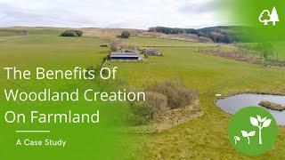 The Benefits Of Woodland Creation On Farmland