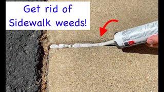 Stop weeds from growing in your Sidewalk cracks