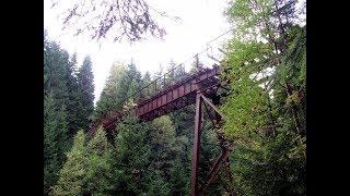 Die einsame Brücke im Wald - LOST PLACES