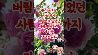 재산 때문에 자식도, 사랑도 잃었습니다… 이게 제 노후인가요? #고민사연