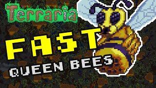 How to Find Queen Bee Instantly in Terraria 1.4 (Hive Guide)