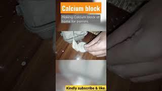 Calcium block for parrots | how to make calcium block