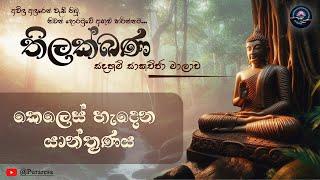 [19 ] කෙලෙස් හැදෙන යාන්ත්‍රණය | තිලක්ඛණ සදහම් සාකච්ඡා මාලාව Day 07 , Part 03