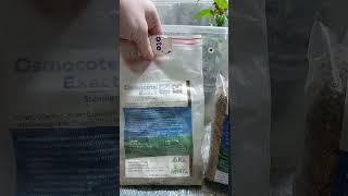 Удобрение для моих цветов.