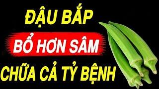 Đừng tốn tiền mua thuốc, cứ ăn đậu bắp theo cách này bổ gấp vạn lần NHÂN SÂM/ KHỎE MỖI NGÀY