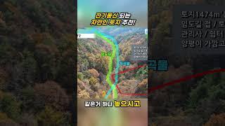 자연인 토지! 산속계곡물 작은토지#자연인#자연인토지#작은임야
