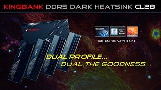 KingBank DDR5 Dark Heatsink CL28