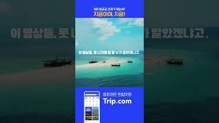 트립닷컴, 최대 5만원 쿠폰에 카드 할인까지! 항공권은 언제가 제일 싸? 지금이야, 지금!