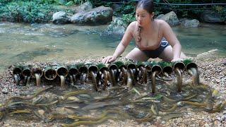 How to make traps along the stream to catch fish, Fish trapping skills, catching fish, Đặng Thủy