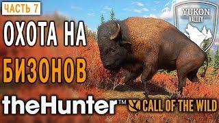 theHunter Call of the Wild #7  - Охота на Бизонов - Долина Юкона, Аляска