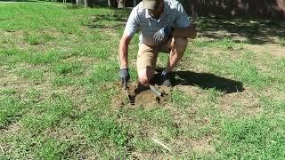 Catching Gophers Made Simpler with Probe/Tunnel Cleaning Tool