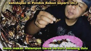 Makan Malam Di Pondok kbun.!!!cukup Berburu Belalang untuk Di goreng renyah ariu kriuk