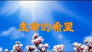 正見網 - 正見天音《生命的希望》