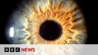 See what your brain does when you look at art | BBC News