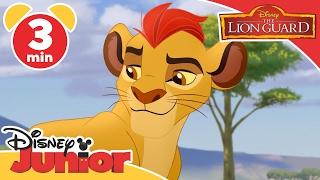 Lion Guard | Badili The Friendly Leopard | Disney Junior UK