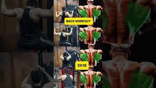 Best back workout at gym for beginners @kpthakurmathura #gymworkout #bodybuiding #backworkout #new