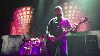 Tool "Parabola" - Justin Chancellor plays Bass Solo