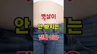 “배만 나오는 이유, 딱 4가지만 바꿔보세요!#건강#건강정보#쇼츠#shorts