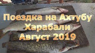 Поездка на Ахтубу.Харабали.Август 2019