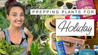 How To Prep Plants For Holiday ️ Leaving My Plants For A Surprise Road Trip