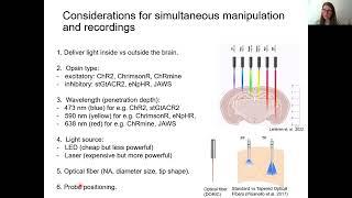 2022 Lecture 11 Neuropixels and optogenetics (Socha and Beau)