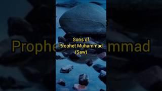 sons of prophet Muhammad saw ️ #viralshort #islamicfigure