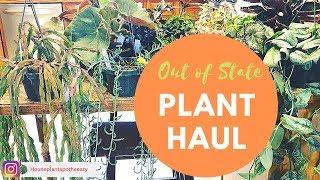 Ohio Plant Haul