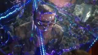 Your Brain on Indra's Net