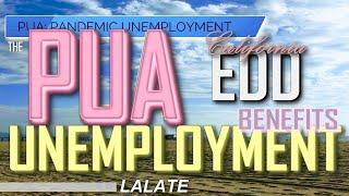 UBER PUA Unemployment Benefits | States CONFUSING Drivers!  UNEMPLOYMENT vs PUA Claim? EDD UPDATE 