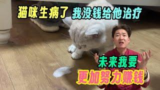 猫咪生病了 小七没有了玩伴！我没有钱给他治病～请朋友们帮帮我！未来我一定更加努力赚钱 好好保护他们！