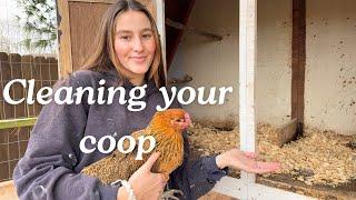 How To Clean A Chicken Coop (easiest coop set-up)